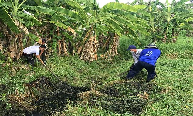 Cảng hàng không Cà Mau ra quân hưởng ứng tháng an toàn, vệ sinh lao động năm 2018|LOCAL_PATH:crawled_data/images/featured_389ffd6ff768.jpg
