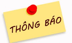 Quyết định ban hành mức giá dịch vụ hàng không và phi hàng không khác tại Cảng hàng không quốc tế Cát Bi|LOCAL_PATH:crawled_data/images/featured_797f7ecc6992.jpg