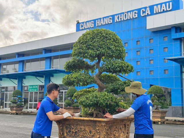 NGÀY CHỦ NHẬT XANH – LAN TOẢ MÀU XANH HY VỌNG|LOCAL_PATH:crawled_data/images/featured_e5f6ec176e37.jpg