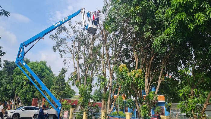 Cảng HKQT Vinh chủ động ứng phó áp thấp nhiệt đới gần Biển Đông|LOCAL_PATH:crawled_data/images/featured_fa5575f0af2b.png