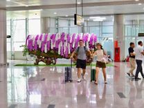 VỪA ĐẶT CHÂN ĐẾN LIÊN KHƯƠNG, HÀNH KHÁCH ĐÃ BẮT GẶP MỘT “VƯỜN LAN” GIỮA NHÀ GA