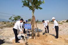 CÔNG TRÌNH “HÀNG CÂY THANH NIÊN” CỦA ĐOÀN THANH NIÊN CẢNG HÀNG KHÔNG QUỐC TẾ CAM RANH