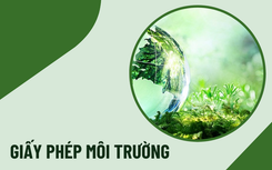 Giấy phép môi trường Cảng HKQT Cát Bi