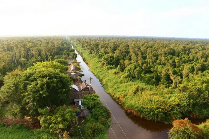 Vườn Quốc Gia U Minh Hạ
